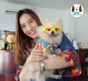 แว่นตาสุนัข แว่นตาใส่เที่ยวสงกรานต์สีสันจี้ดมากๆ แว่นตาหมา แว่นตาแมว แว่นแฟชั่น ขายส่ง ขายปลีก