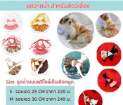 ชุดว่ายน้ำสำหรับสัตว์เลี้ยง สุนัขและแมว ทั้งแบบบิกินี่ ชุดว่ายน้ำ บิกินี่ Two Piece และ One Piece