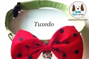 โบว์น้องหมา ปลอกคอน้องหมา น้องแมว สีแดง ลายจุดดำ แตงโม้แตงโม