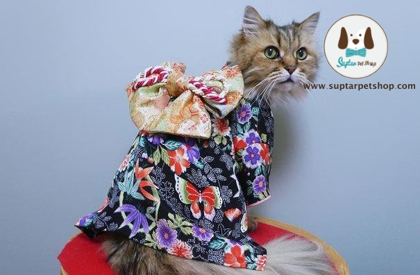 cat-kimonos-japan-41.jpg