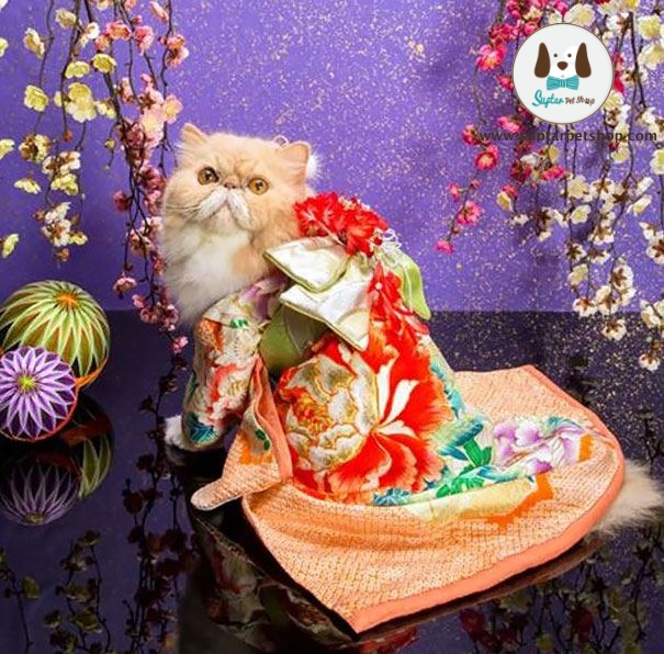 cat-kimonos-japan-24__605.jpg