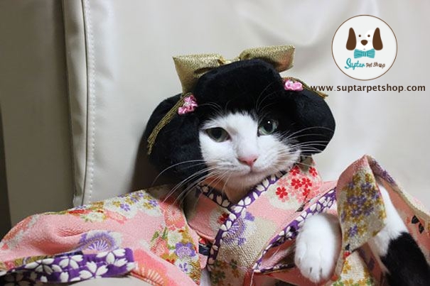 cat-kimonos-japan-10-1.jpg