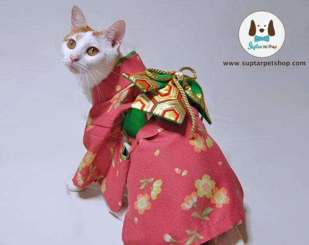 cat-kimonos-japan-7__605.jpg