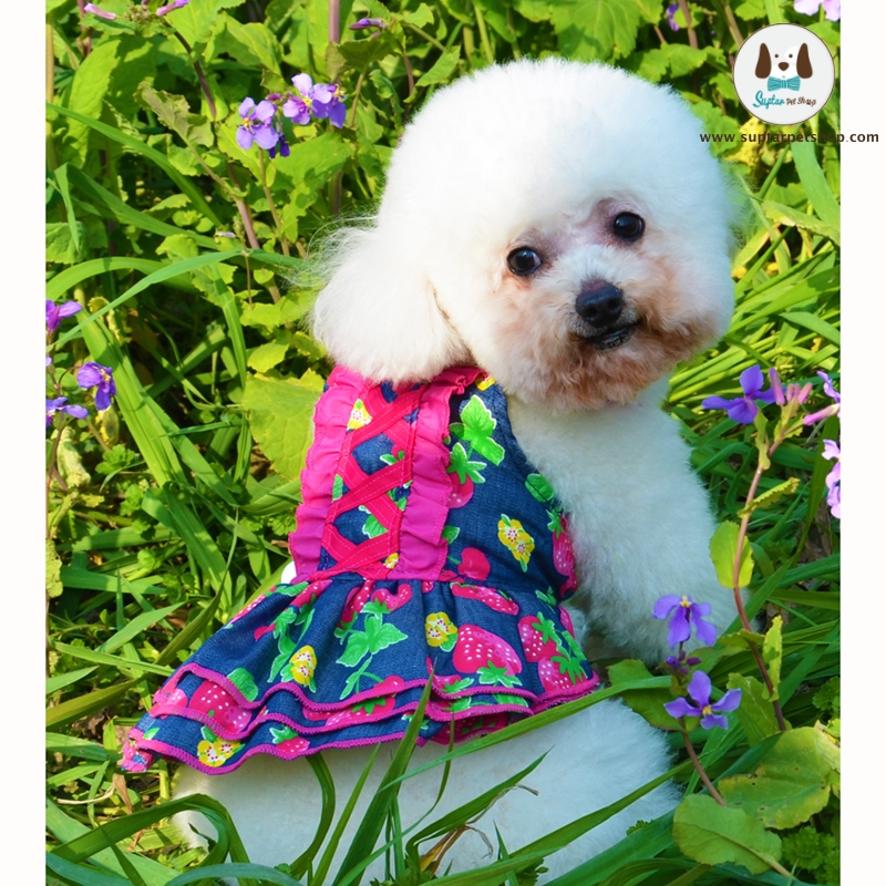New-cute-fashion-pet-dog-hawaii-style-strawberry-print-skirt-pet-dog-summer-clot.jpg