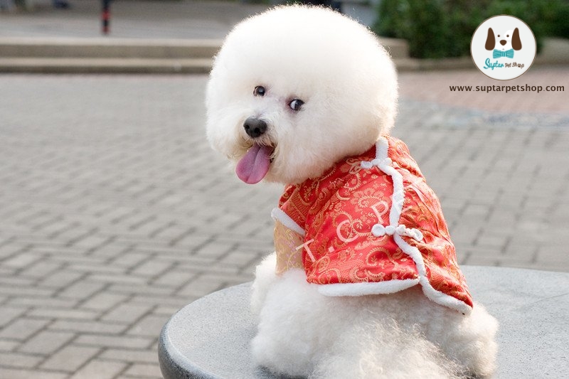 Dog-Costume-Chinese-Tang-Suit-Sytle-dog-clothes-apparel-TCY-021.jpg