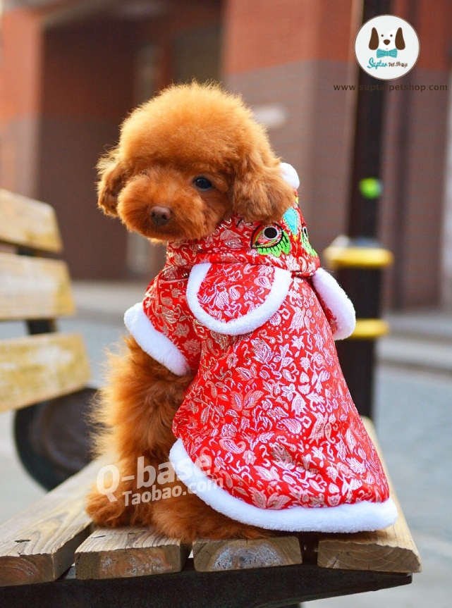 Happy-new-year-chinese-style-cute-little-tiger-Tang-suit-new-year-dog-clothes-Te.jpg