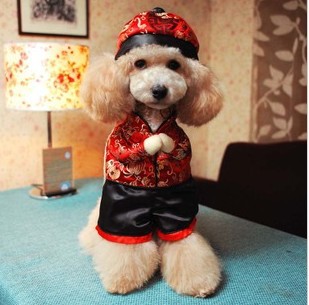 Pet-dog-clothes-of-Chinese-New-Year-teddy-bust-Chinese-style-costumes.jpg