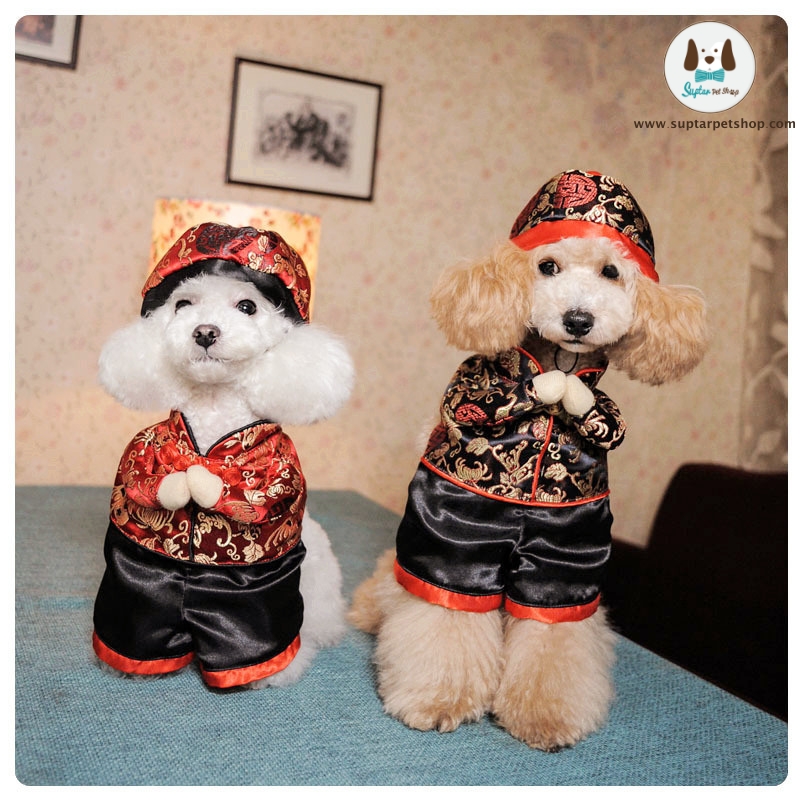 whimsy-Free-shipping-so-funny-Chinese-style-Happy-New-Year-Pet-cat-dog-Dress-sui.jpg