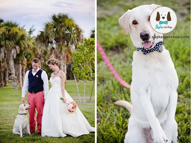 Preppy-Polka-Dot-Bow-Tie.jpg