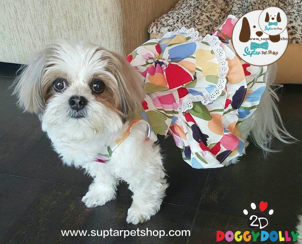 www.suptarpetshop.com03-20160308-123504เสื้อน้องหมาน่ารัก.jpg.jpg