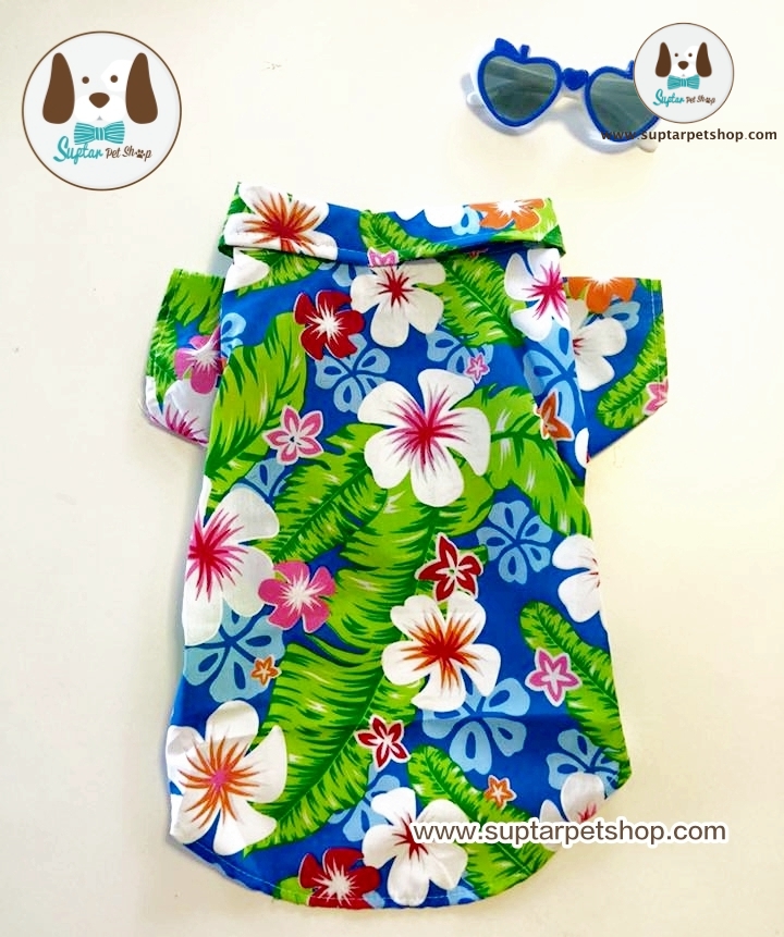 www.suptarpetshop.com03-20160314-103610เสื้อน้องหมาน่ารัก.jpg.jpg