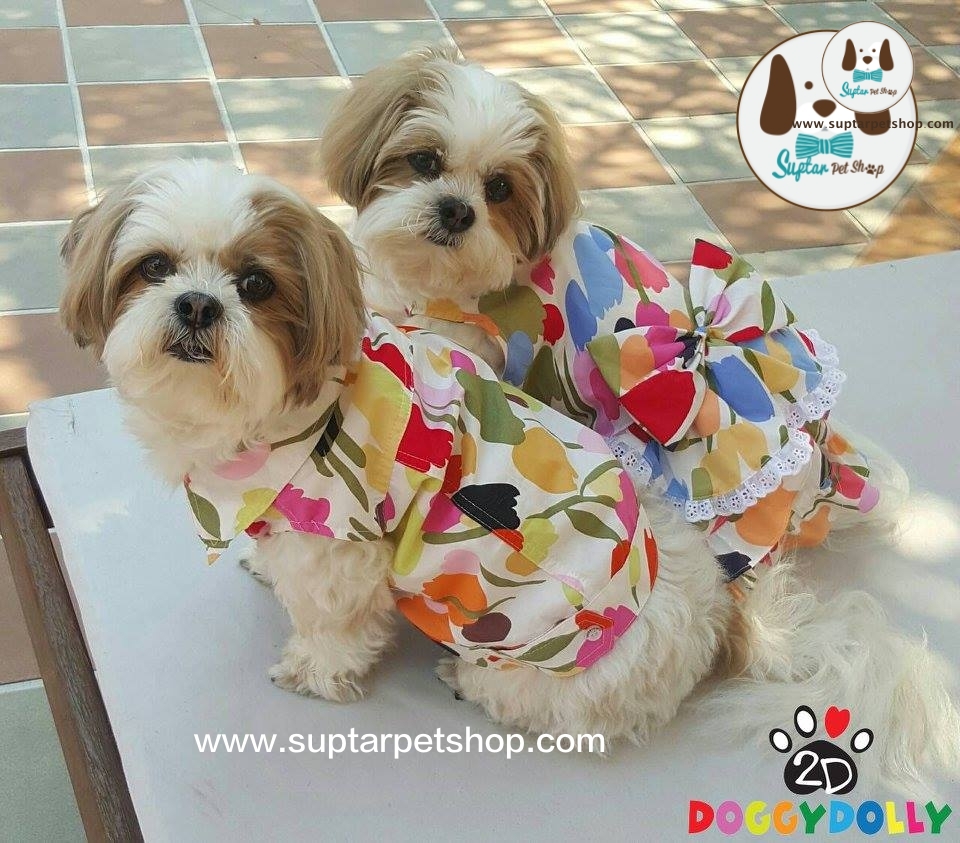 www.suptarpetshop.com01-20160308-123510เสื้อน้องหมาน่ารัก.jpg.jpg