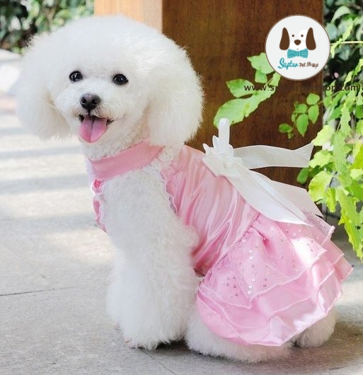 Dog-dresses-for-wedding.jpg