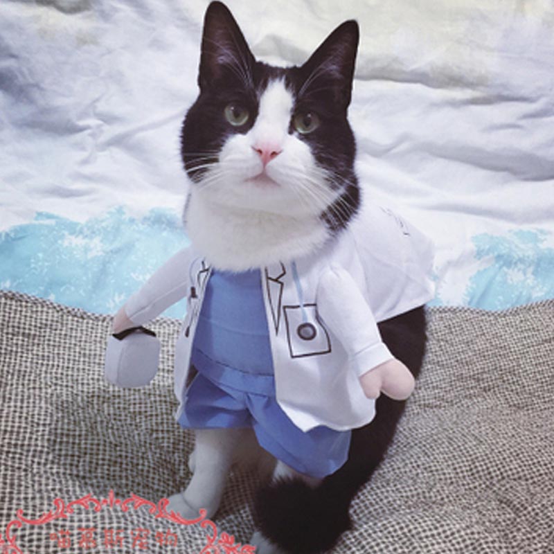 -font-b-Funny-b-font-Halloween-pet-cat-dog-font-b-doctor-b-font-font.jpg