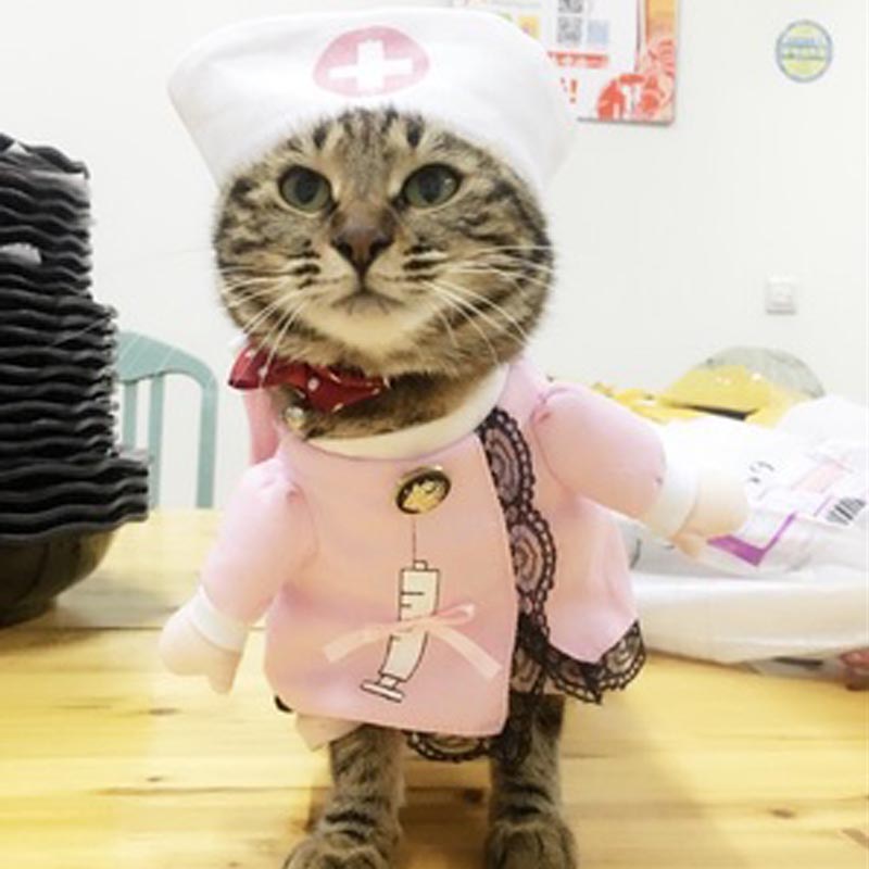 Halloween-pet-cat-font-b-dog-b-font-font-b-nurse-b-font-costume-cosplay-Funny.jpg