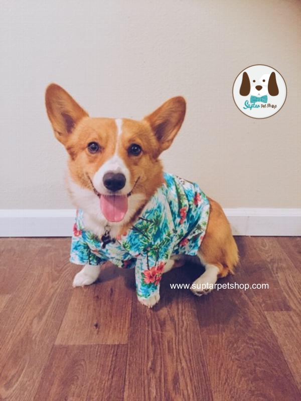 เสื่อลายดอกหมาใหญ่casual-canine-hawaiian-breeze-dog-camp-shirt.jpg