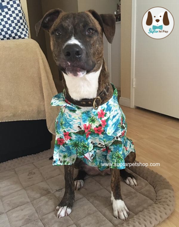 เสื่อลายดอกหมาใหญ่casual-canine-hawaiian-breeze-dog-camp-shirt.jpg