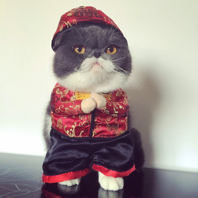 Chinese New Year Style Costume.jpg