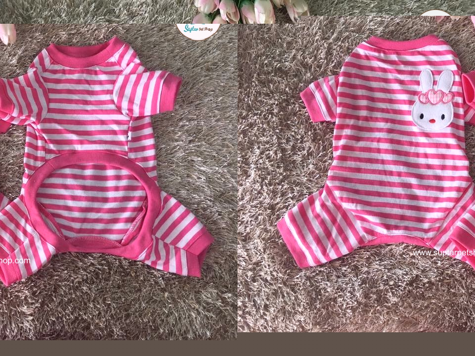 เสื้อหมาแมว-22195929_1917968641790051_6696259386141038512_n-ราคาถูก.jpg.jpg