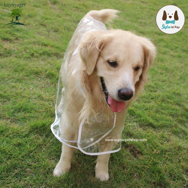 กันฝนหมาแมวWaterproof-Pet-Dog-Raincoat-Dog-Hooded-Jacket-Transparent-.jpg