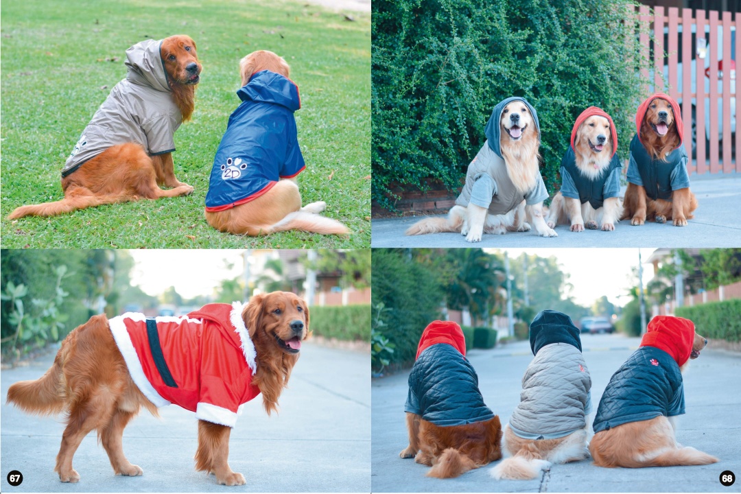 big-dog-clothes-01.jpg