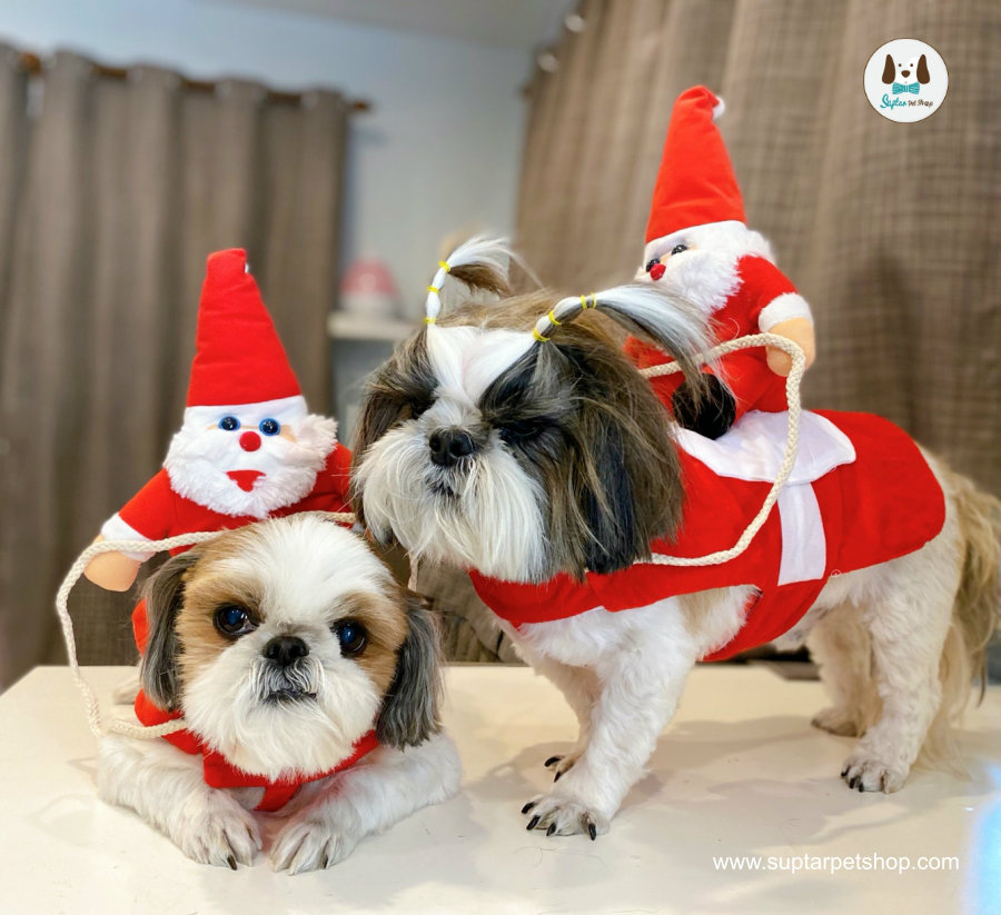 ชุดซานต้าครอส น้องหมาน้องแมว เสื้อผ้าสุนัขชุดคริสมาส ชุดซานต้า ชุดแซนตี้ เสื้อหมา เสื้อแมว ชุดแฟนซีสำหรับหมาแมว