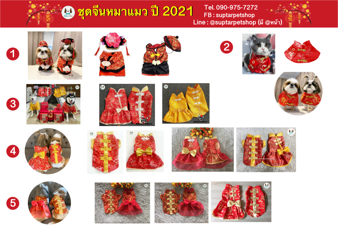 -------กกกกจีนใหม่---จีน2021รวมภาพ.png