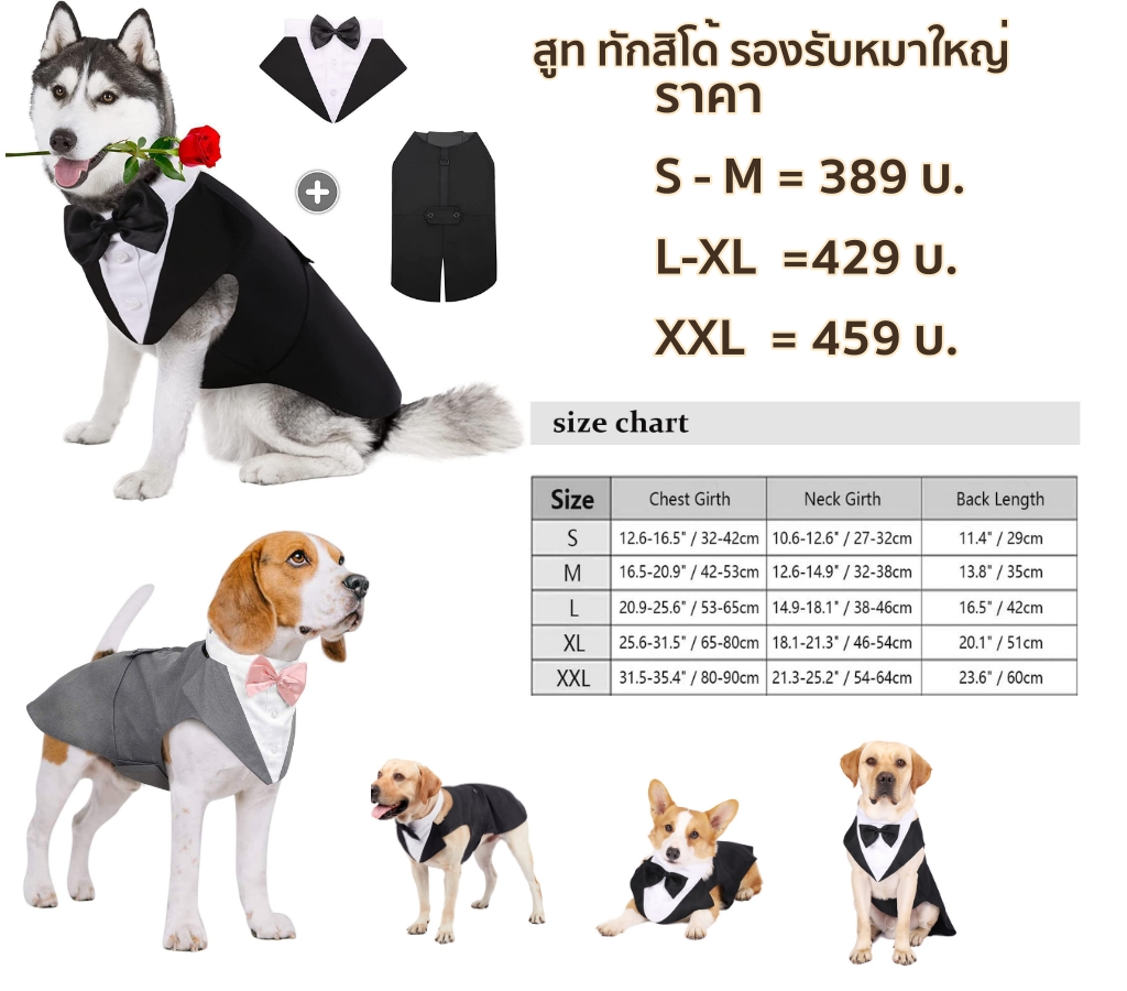 -สูทหมาใหญ่.jpg