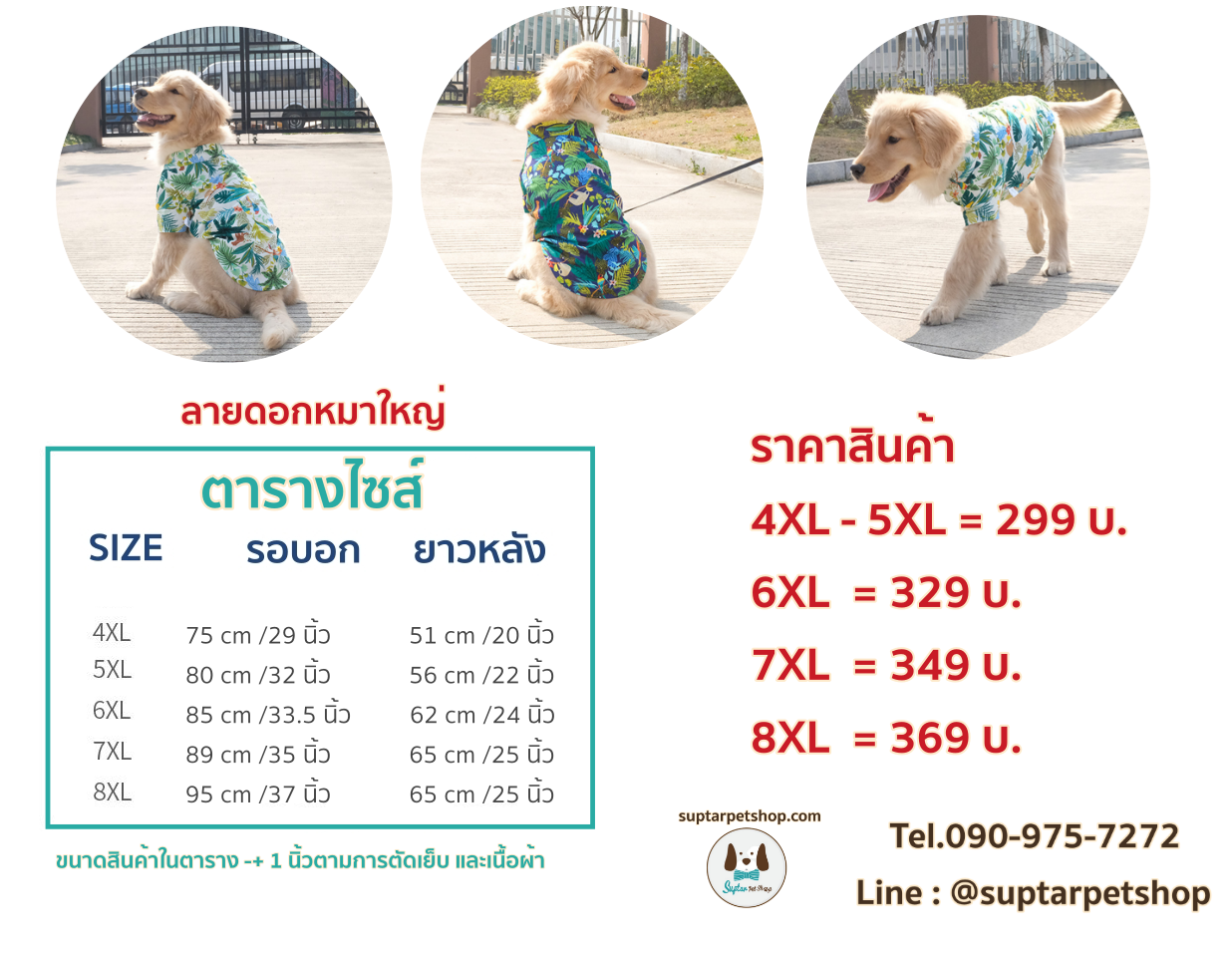 ราคา-ตารางไซส์ดอกหมาใหญ่.png