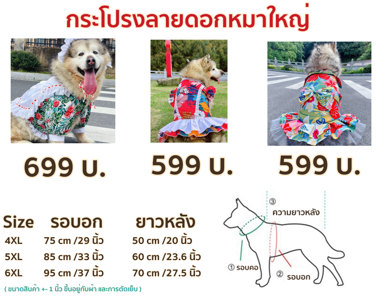 ราคา-ตารางไซส์โปรงใหญ่.png