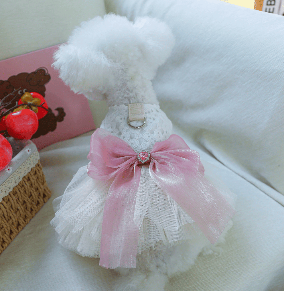 ภาพถ่ายหน้าจอ 2568-03-07 เวลา 15.29.51.png
