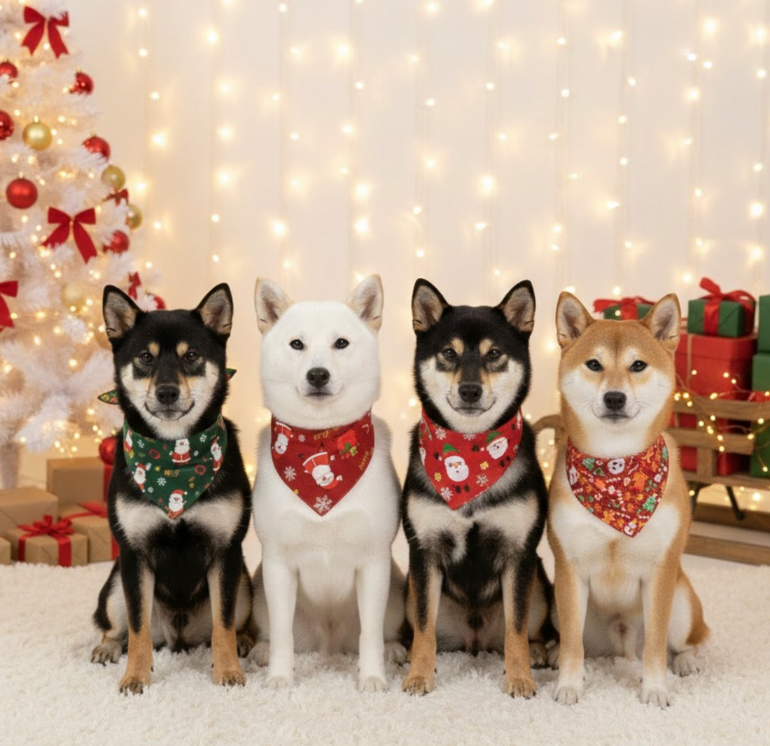 ภาพถ่ายหน้าจอ 2568-12-03 เวลา 18.15.59.jpg