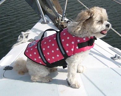 Paws_Aboard_Designer_Doggy_Life_Jacket-Pink_Polka_Dot.jpg