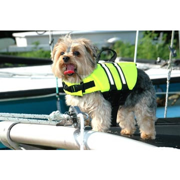 yellowlifejacket4__95751.1409808878.1280.1280.jpg