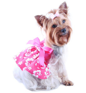 petaccessoriesap265m2-dog-clothes-harness-dress-miss-mckaylah-hawaiian.jpg