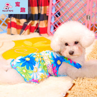 hawaii-dress-pet-dog-clothes-teddy-spring.jpg