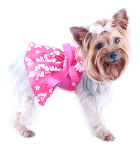 petaccessoriesap265m1-dog-clothes-harness-dress-miss-mckaylah-hawaiian.jpg