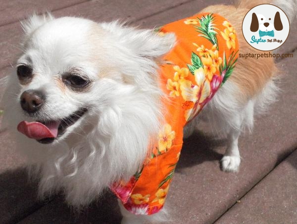 hawaiian-print-dog-shirt-orange-3017.jpg