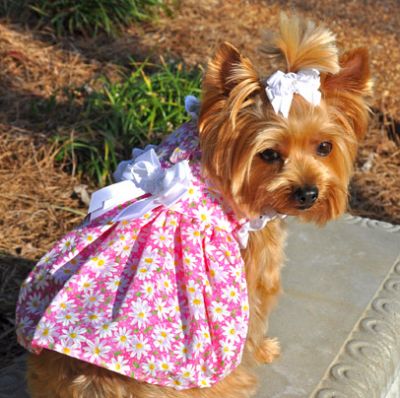 pink daisy flower dress.jpg