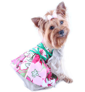 petaccessoriesap357m1-dog-harness-dress-kalani-hawaiian-punch.jpg