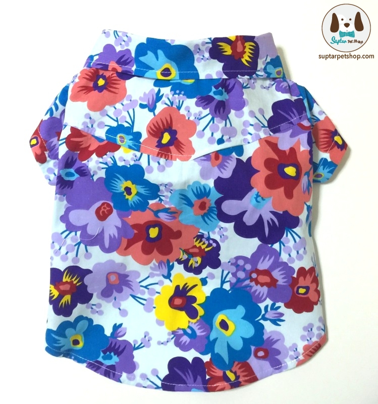 abbr_dda602357cbb287cc883f57d0d1fbeec.jpg