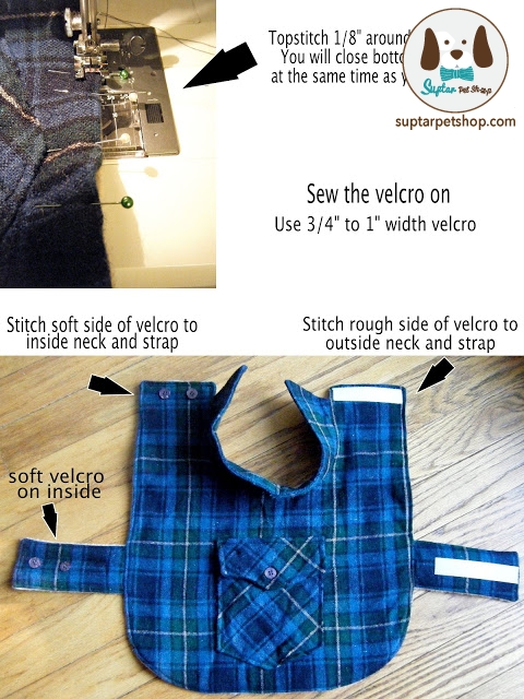 dog coat pattern 6.jpeg