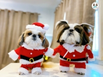 ซานต้าหมา Santa Claus ชุดแฟนซีน้องหมา สัตว์เลี้ยงชุดซานต้าคลอส (Santa Claus) ชุดเทศกาล สำหรับสุนัขและแมว แบบใส่ขาหน้า ซานต้าหมา ซานตี้หมา คริสต์มาสหมาแมว