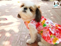 ขายเสื้อลายดอกน้องหมา แมว ลายสงกรานต์ สีสุดจี้ด สวยจริงๆ จัดให้ให้สัตว์เลี้ยงเรา