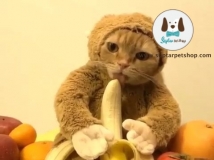 ชุดแฟนซีแมว เมื่อแมวต้องกินกล้วย ก็ต้องเป็นแบบนี้แหละ น่ารักมากๆ