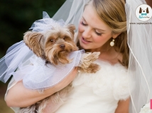 Dogs in Weddings เมื่อน้องหมาร่วมงานแต่งงานเจ้านาย ภาพประทับใจจึงเกิดขึ้น