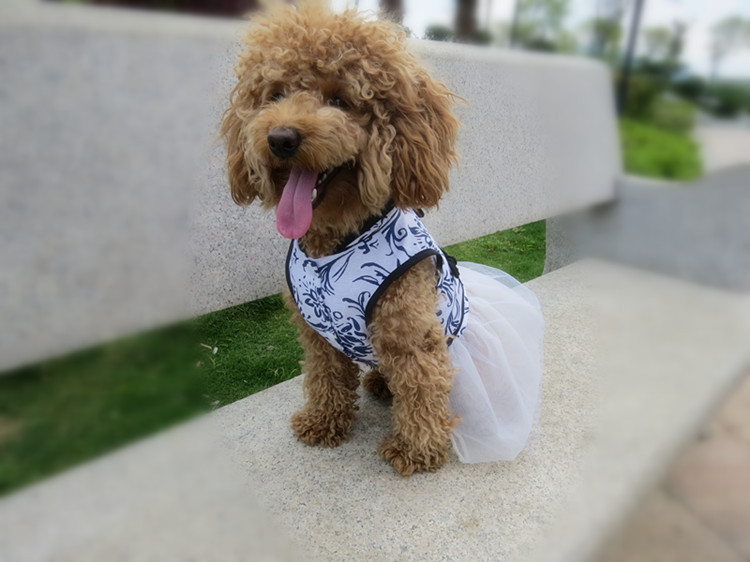 Chinese-New-Year-Dog-Dress-Spring-Summer-Dog-Clothes-Pet-Dresses-Skirt-Clothing-.jpg