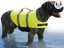 life vest dog แฟชั่น เสื้อชูชีพสุนัข หมาแมว จากทั่วโลก สวยและปลอดภัย เจ๋งๆ